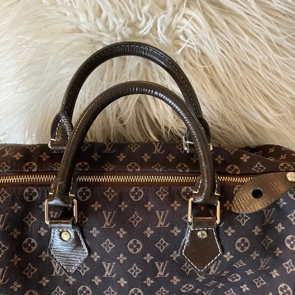 Louis Vuitton Speedy 30 Mini Lin - Picture 4 of 9